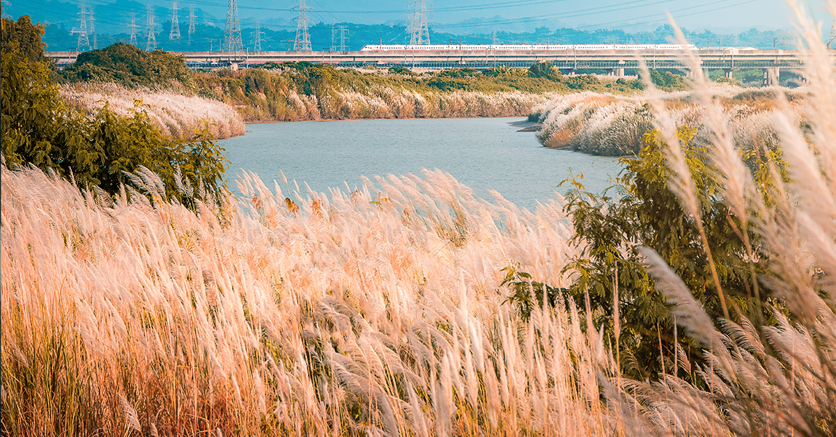 How to get to Tainan from Taipei 20 Discount